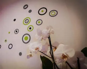 Chroma Italy - Chroma Octho Řím